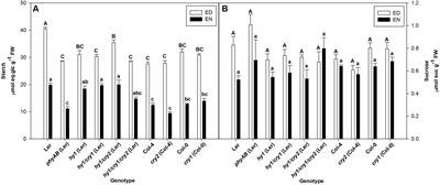 Phytochrome A and B Regulate Primary Metabolism in Arabidopsis Leaves in Response to Light